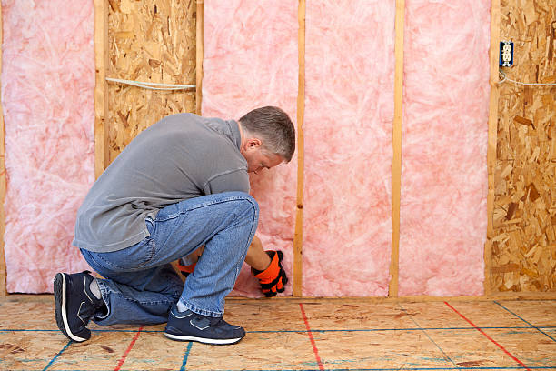 Best Insulation for Existing Homes  in Sidney, OH